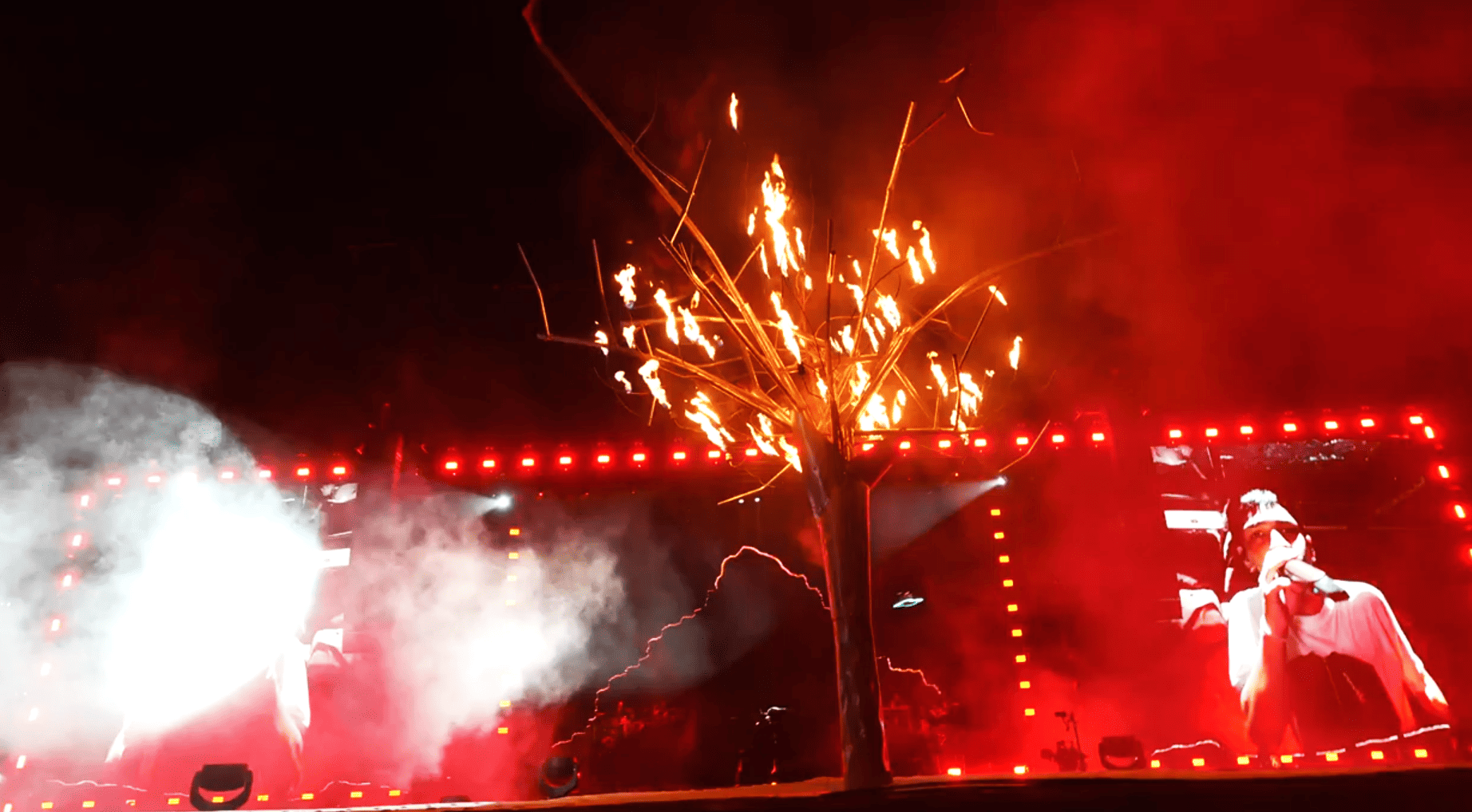 Show en Vivo 5